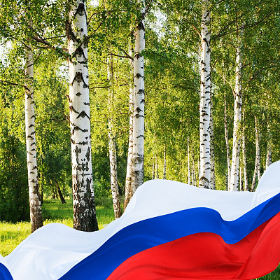 Русская берёзка - символ России. Клуб "Тары-бары"